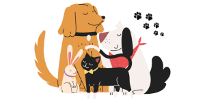 Pet Insurance